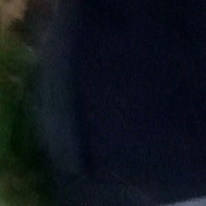 Meet your Posher, Parodians